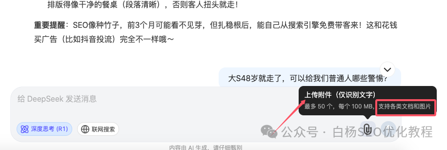 DeepSeek是什么？为什么爆火以及我们搞SEO流量要用它？怎么用？【必看】