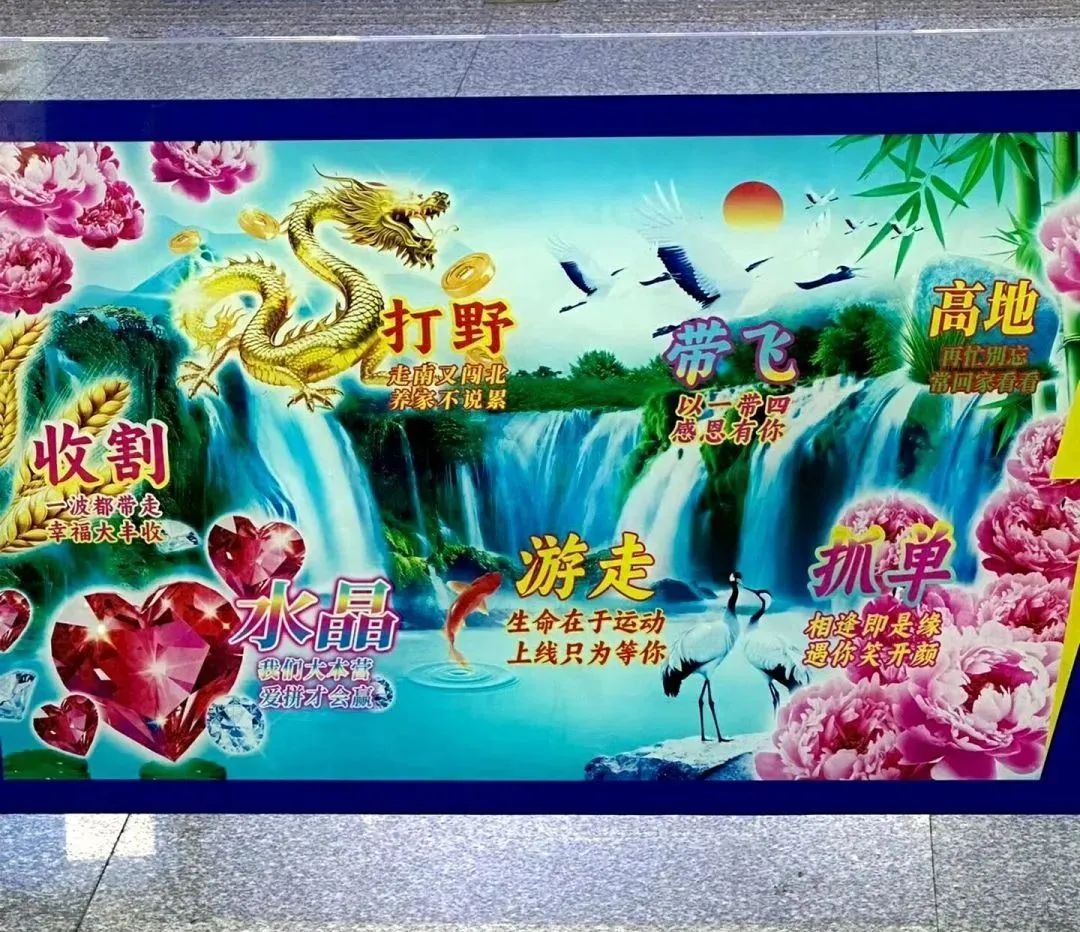 丑哭全网的格力“玫瑰空调”,终于吹不下去了!