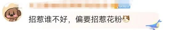 华为突然被举报,蜜雪冰城粉丝笑不活了!