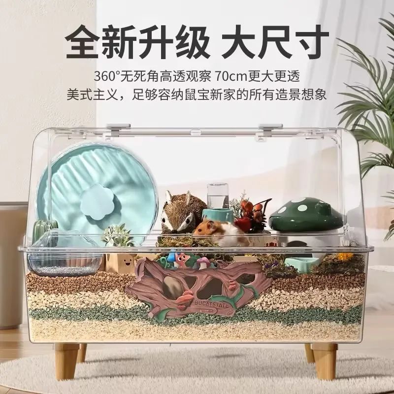 宠物界“泡泡玛特”,爆卖800万件+、复购率60%,凭啥?