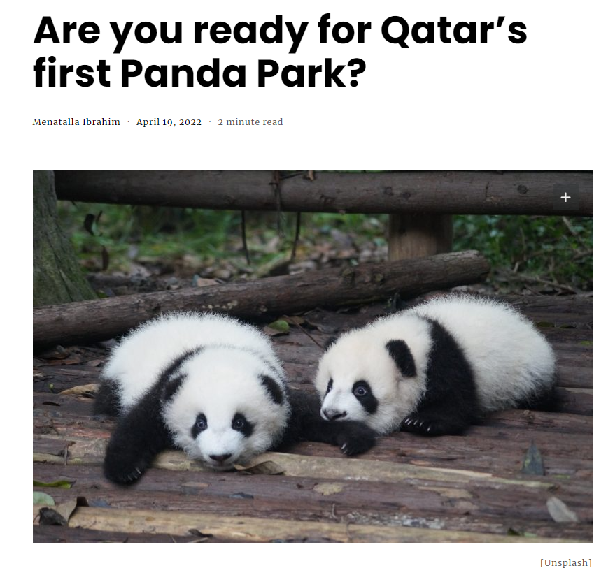 中国熊猫进卡塔尔，胖了6斤！住3.6亿宫殿，24小时吹空调泡温泉！网友：我去住我也得胖&hellip;&hellip;