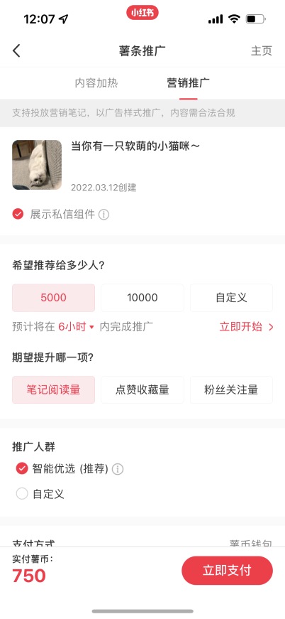 小红书薯条3.0,值得投吗?