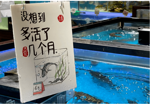 品牌建设步履不停,2022年终盘点十大传播案例 | 年终盘点②