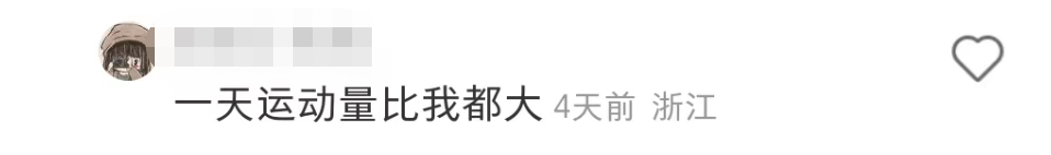 盒马的猪,把刘畊宏女孩卷疯了!
