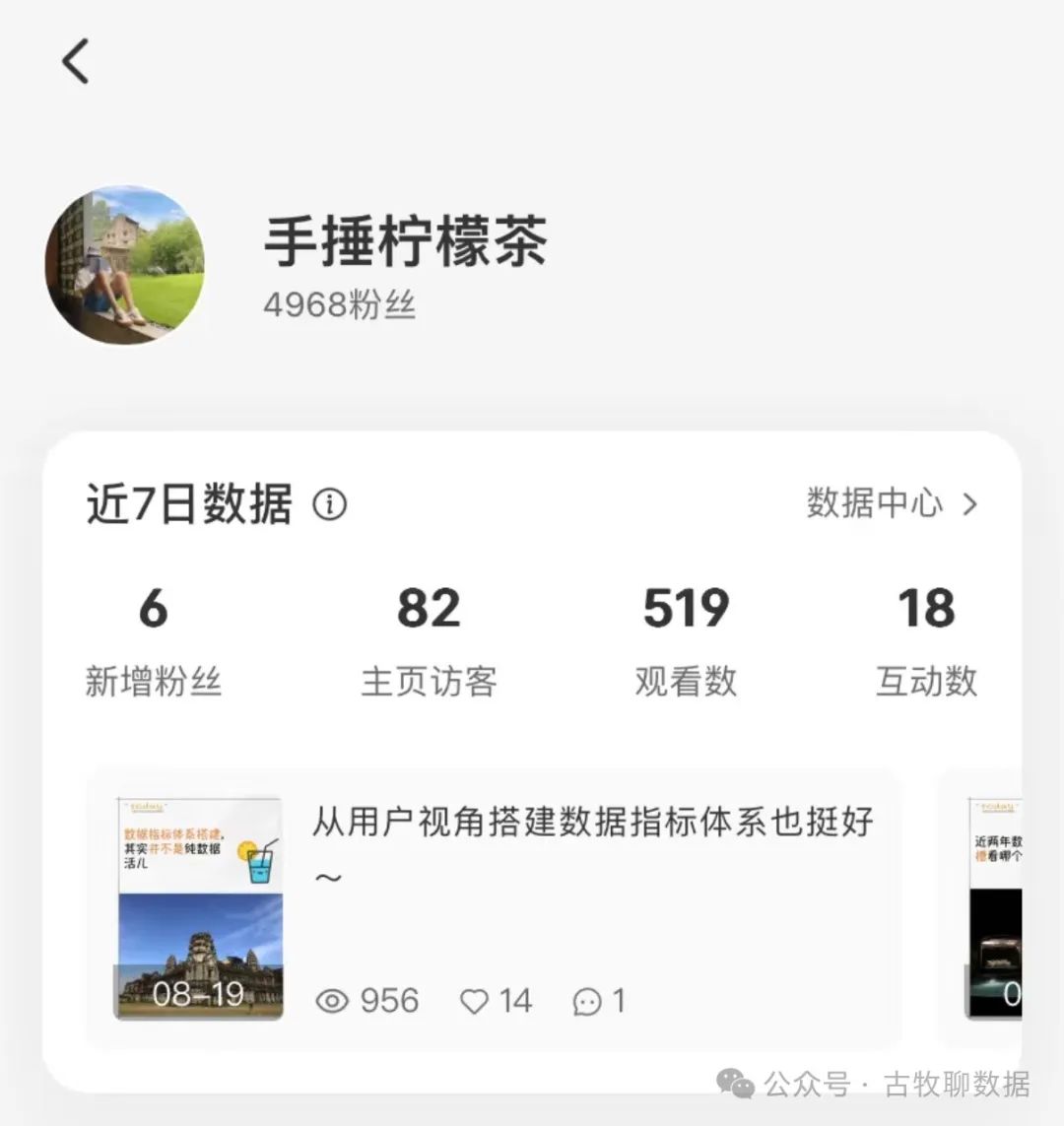 案例解析：小红书数据中心，似乎不大行？