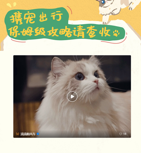 如何让用户发自内心地喜欢品牌?从滴滴顺风车CNY“返乡营销”中找答案