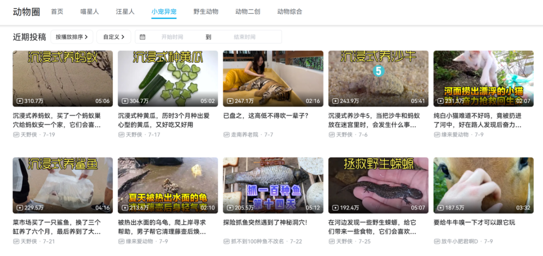 异宠，一场年轻人的单向奔赴