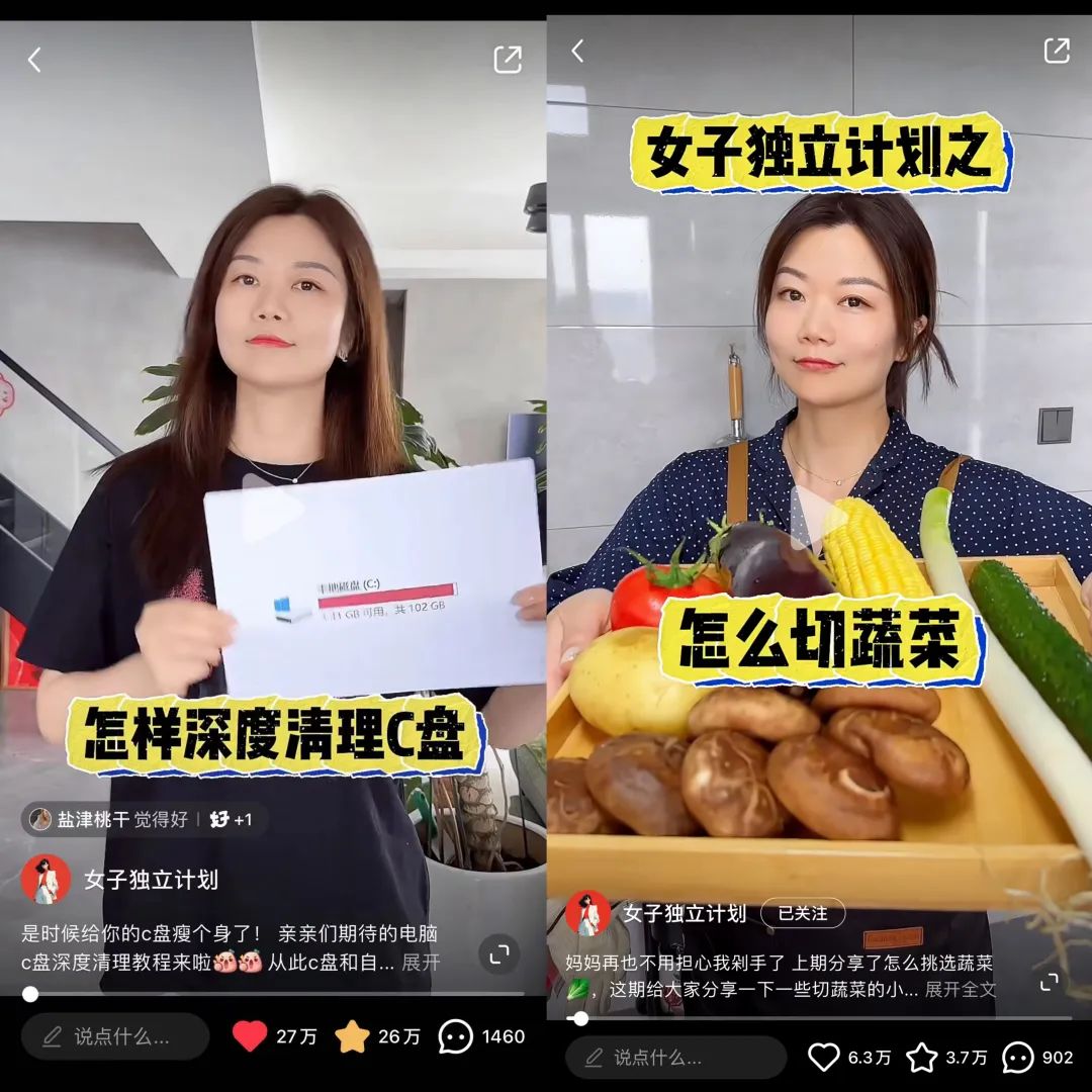从性科普到修马桶换灯泡,谁在互联网当“电子妈妈”