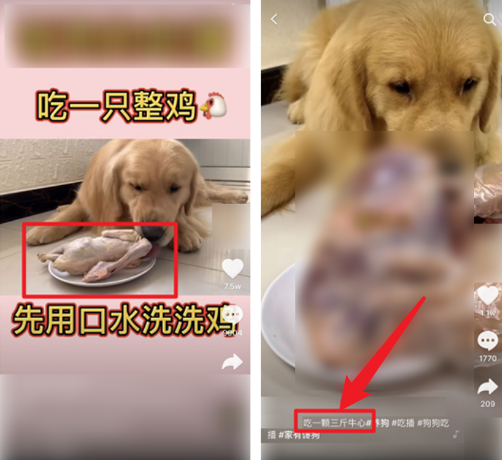 32.png 32.png