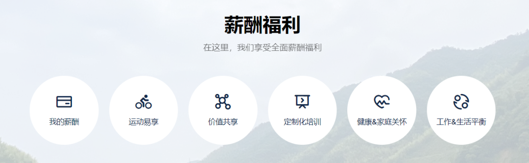 迪卡侬的人力资源管理体系!