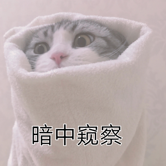 点击查看源网页