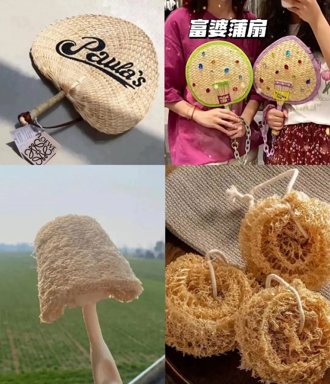 20万件库存一天卖空,冬天的第一盆草莓蛋糕,带火这个“老东西”