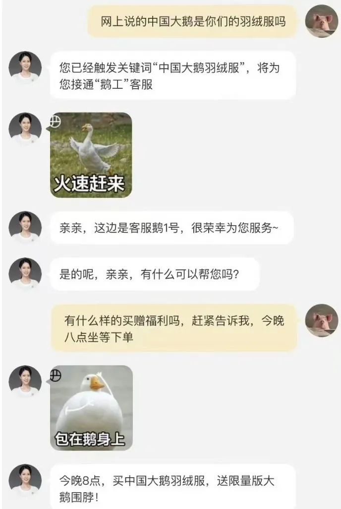 “中国大鹅”火了!双11最强带货王,竟然是网友?