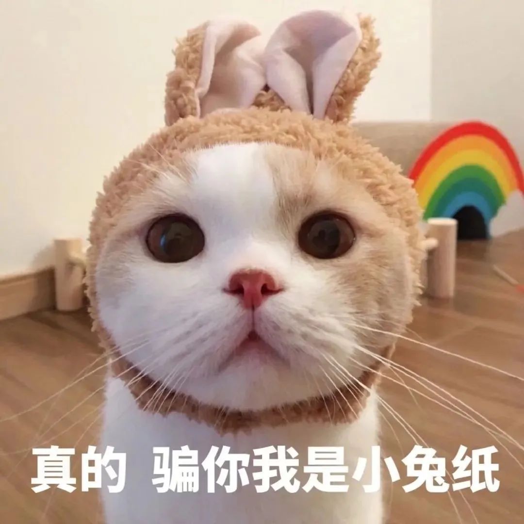 带了4000+职场人,成功率最高的求职方法终于被我找到了。