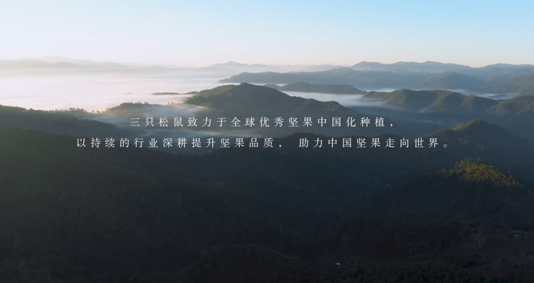 良品铺子降价前，三只松鼠&ldquo;高端性价比&rdquo;率先起跑