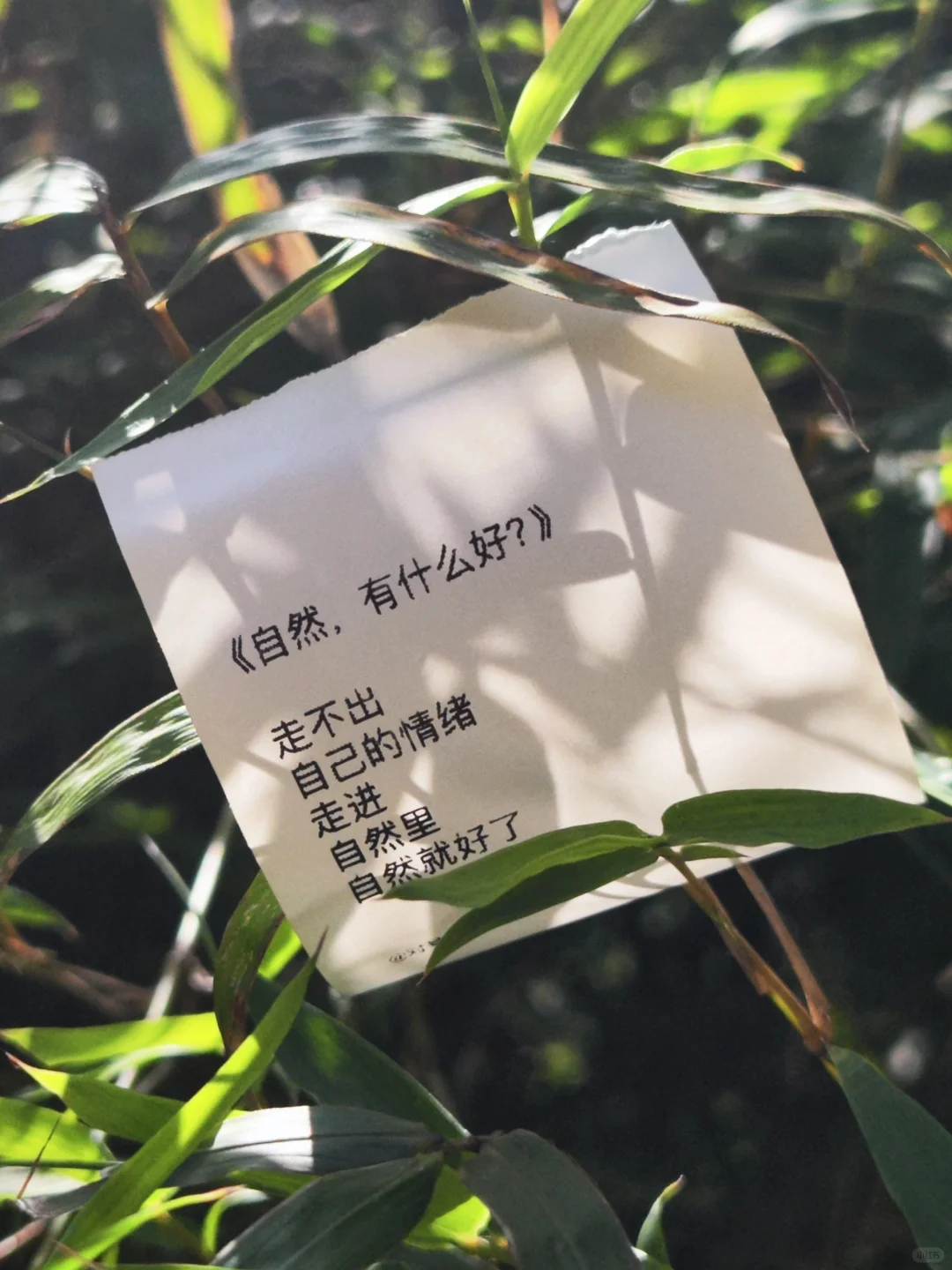 三套文案,十分好看