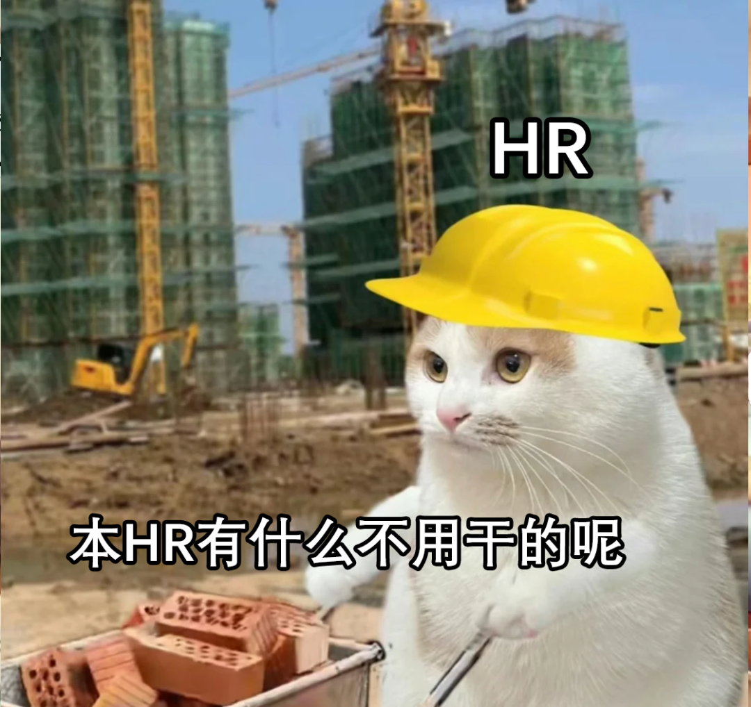 最毒嘴替HR火了,我也想说......