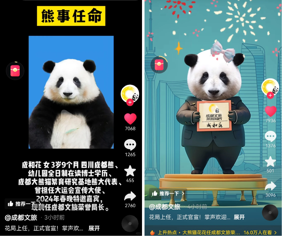 一年带动6个亿,熊猫经济还能火多久?