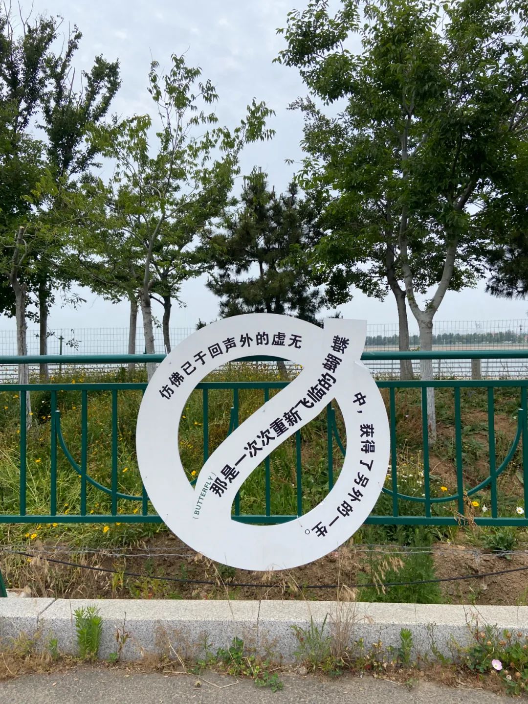 最近收藏的20句文案
