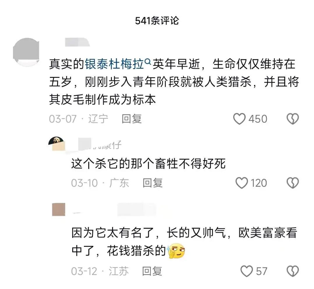 1个月涨粉超300万,这届年轻人有自己的《动物世界》