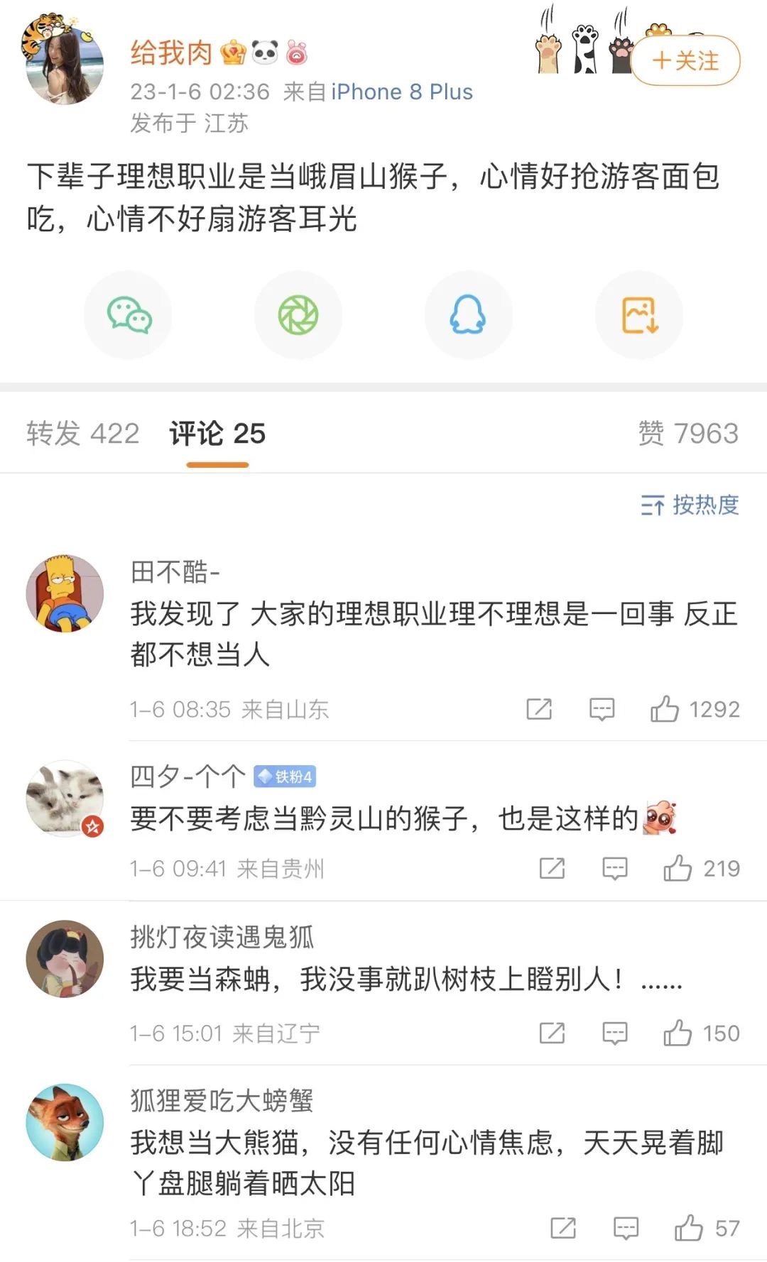 请把所有广告都拍成这样!