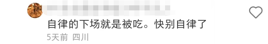 盒马的猪,把刘畊宏女孩卷疯了!