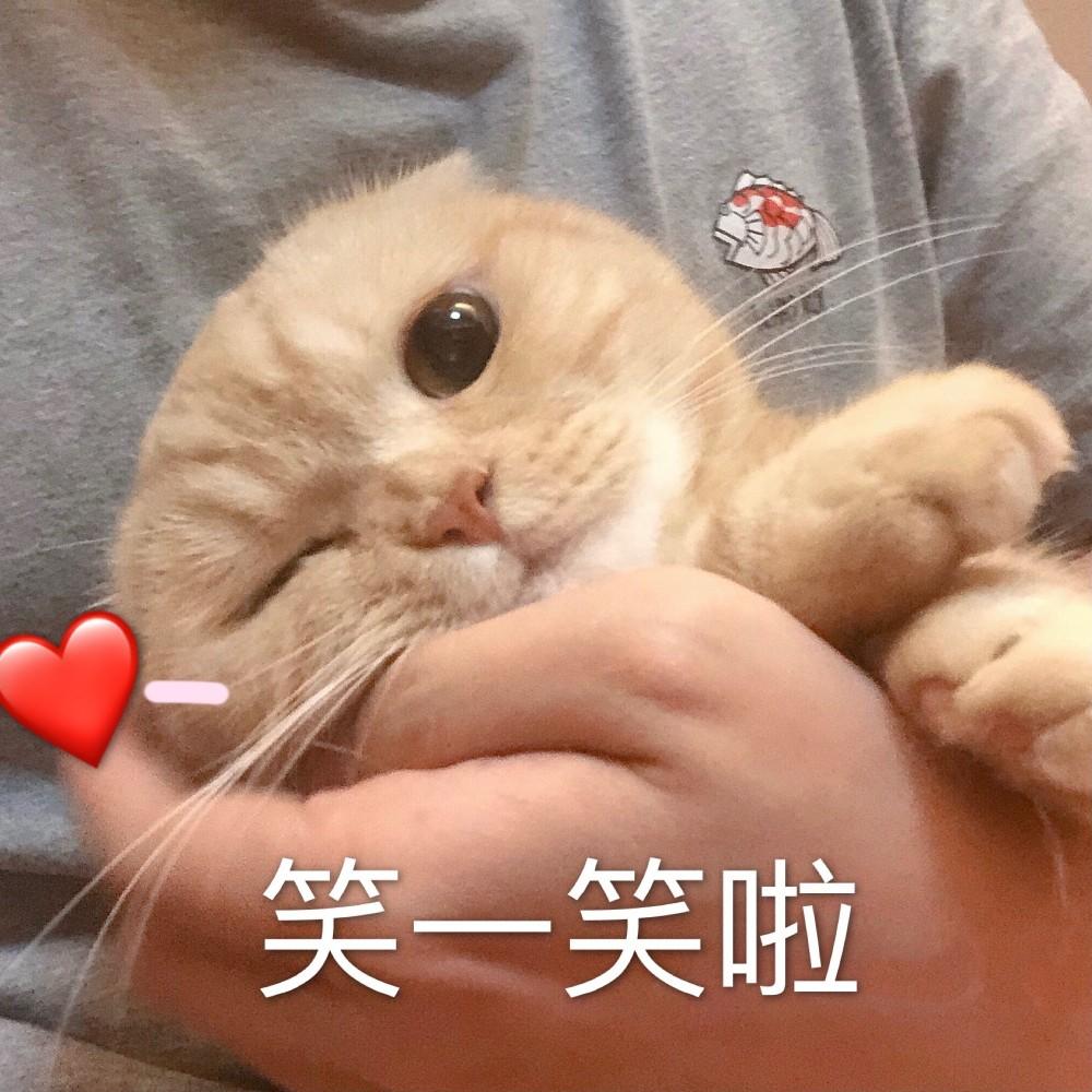 点击查看源网页