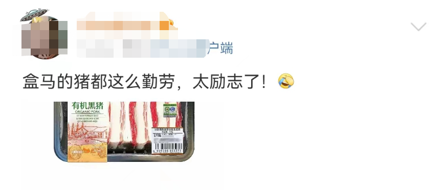 盒马的猪,把刘畊宏女孩卷疯了!