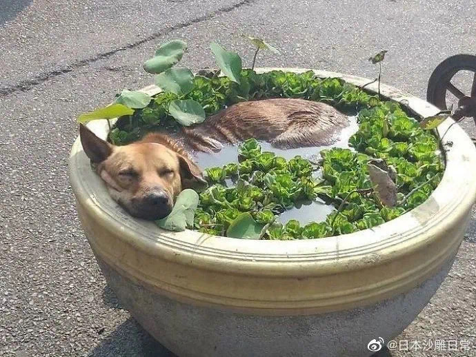 微信图片_20210527000629.jpg 微信图片_20210527000629.jpg