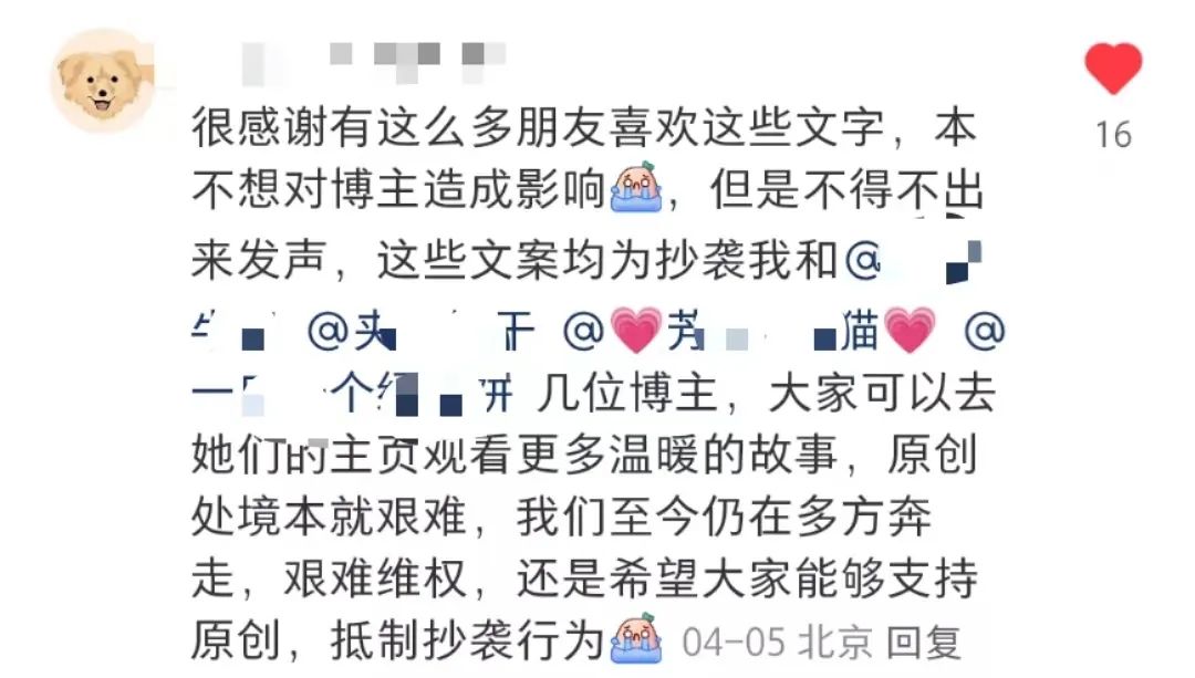 看哭全网的小狗广告翻车?反转来得太突然!