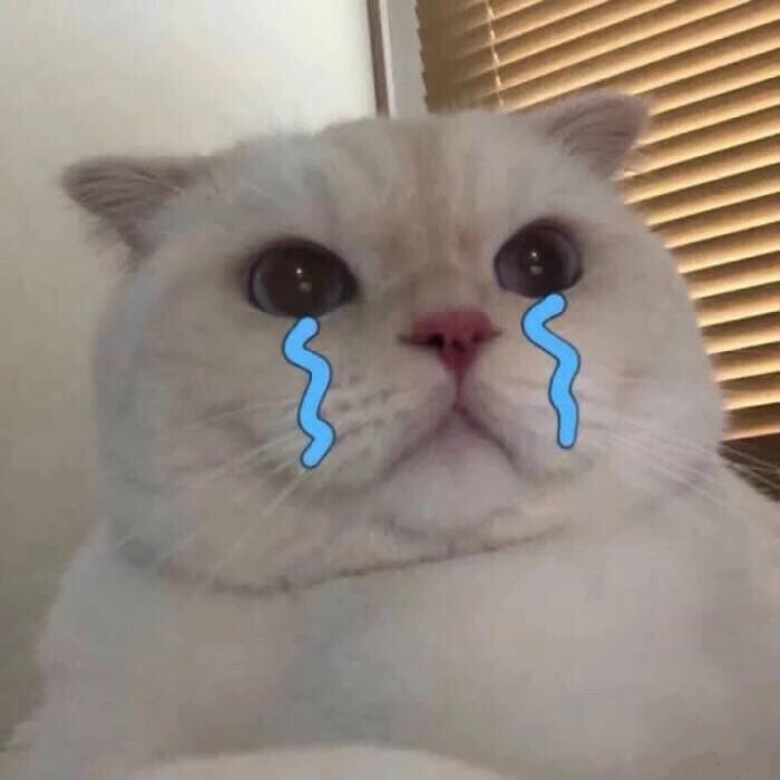 1.png 1.png