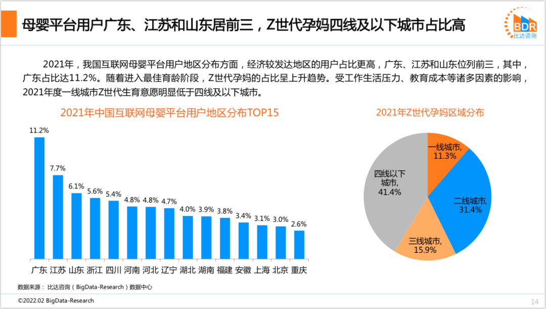 2021年度中国互联网母婴市场研究报告