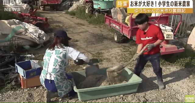 日本9岁小学生暑假租600㎡地，学会了种田，实现吃米饭自由！网友：动手能力比我强1000倍！
