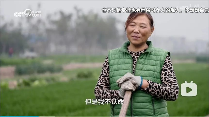 品牌观察20 | 快手拍出了真正的普通人帮助普通人的故事:《种完麦子,我就往南走》