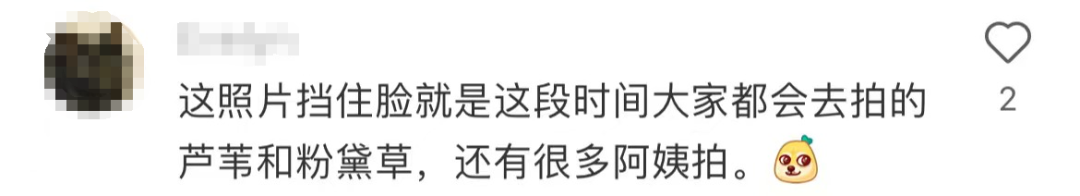 比全红婵更丑!Burberry阴间广告坑惨“最美影后”