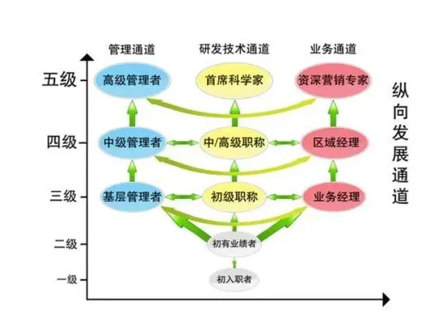 人才价值:明确四个定位,建立职业三通道,应用多元化成才九宫格
