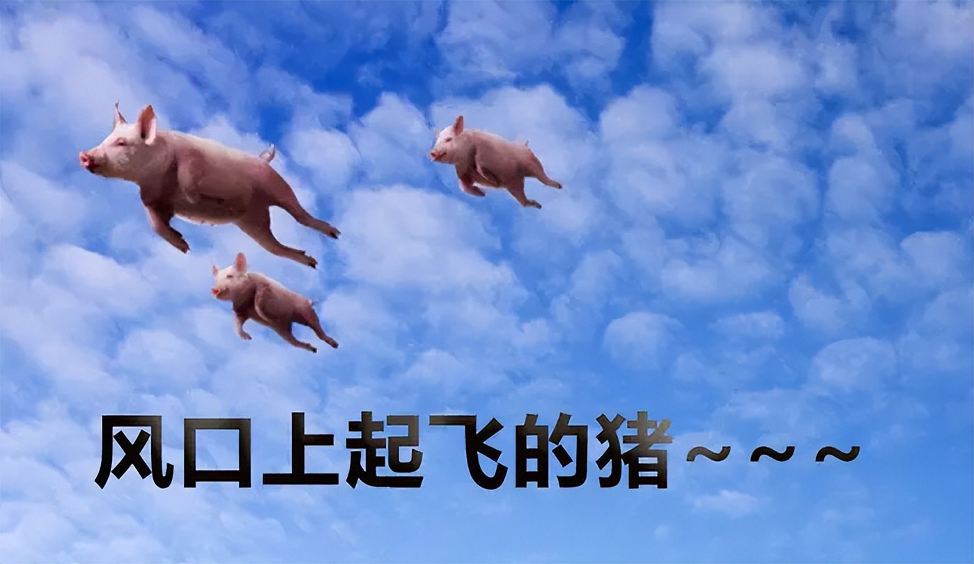 自媒体有哪些平台?非常适合新手做的3个平台