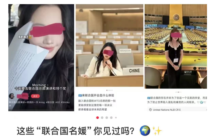 名媛拿下联合国,背后是一门大生意