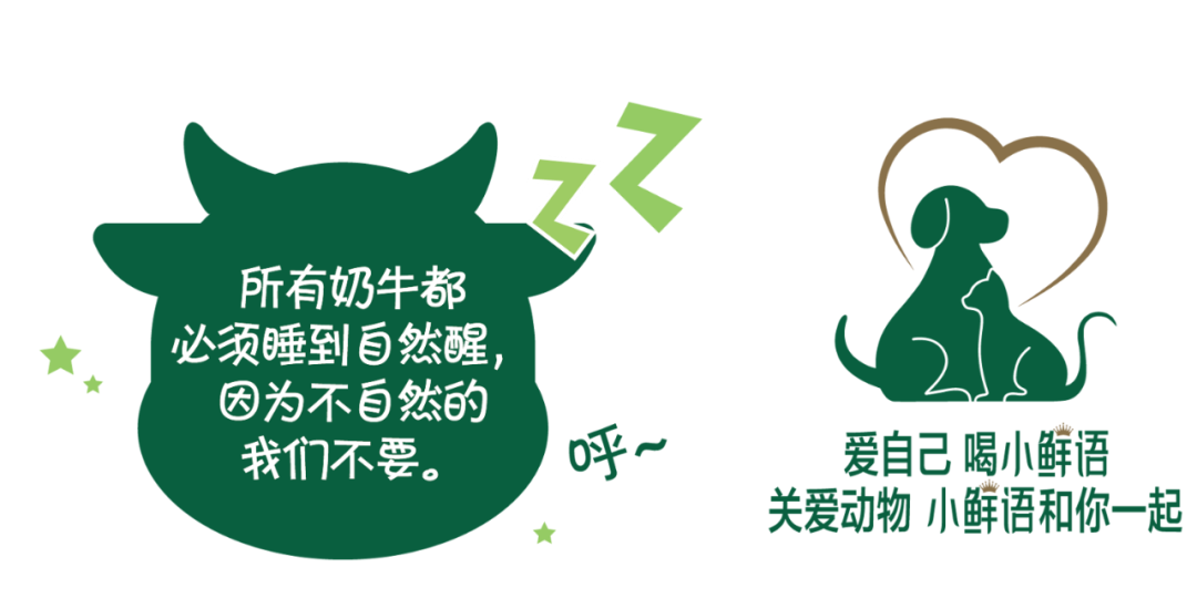 人宠关系升级,食品饮料品牌如何“伺宠而娇”?