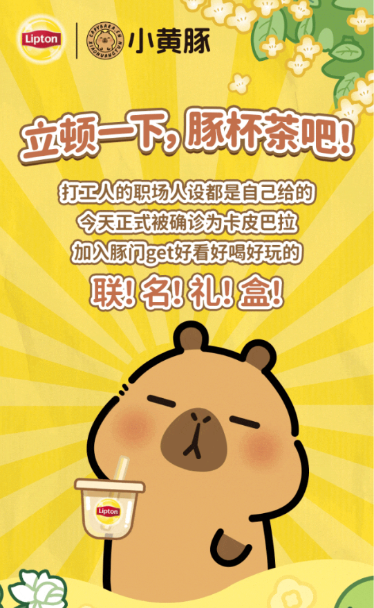半年吸引亿级流量,卡皮巴拉小黄豚如何变身爆款IP?