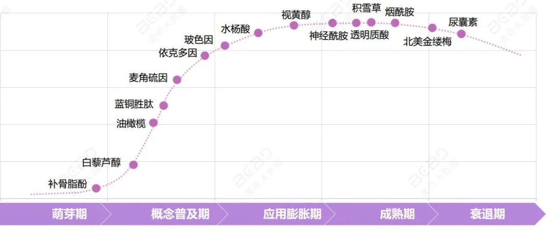 烟酰胺启示录:化妆品投资的本质是什么?