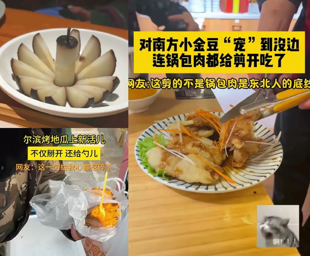 重南轻北?网友:尔滨你又整这死出