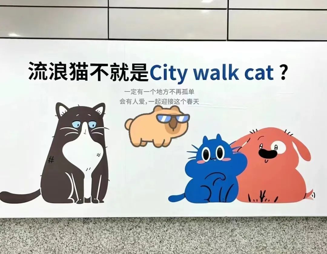 看哭全网的小狗广告翻车?反转来得太突然!