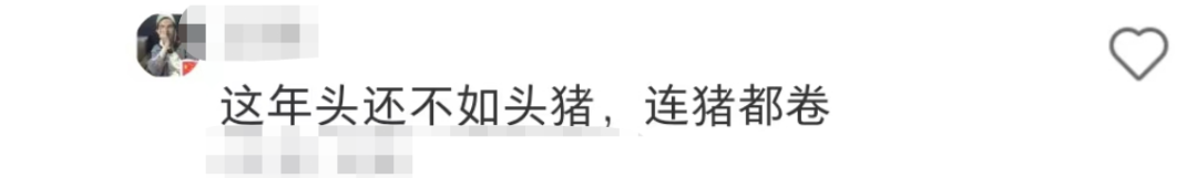 盒马的猪,把刘畊宏女孩卷疯了!