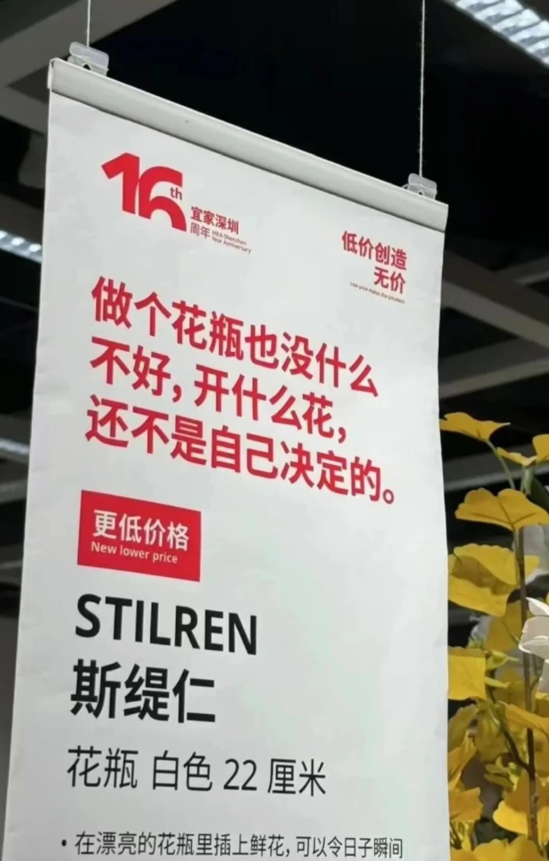 24句发疯文案，情绪价值拉满