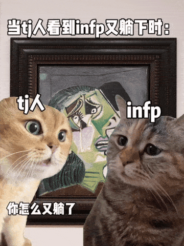 7天B站涨粉20万，&ldquo;猫meme&rdquo;为何风靡全网？