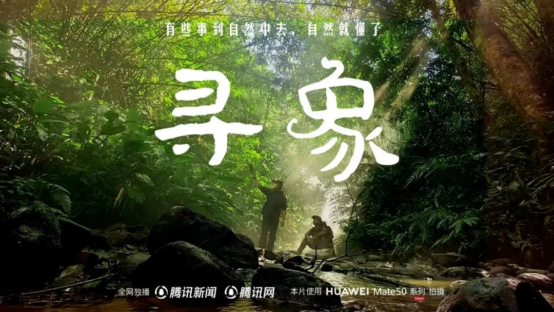 五大门户是怎么理解品牌价值的?