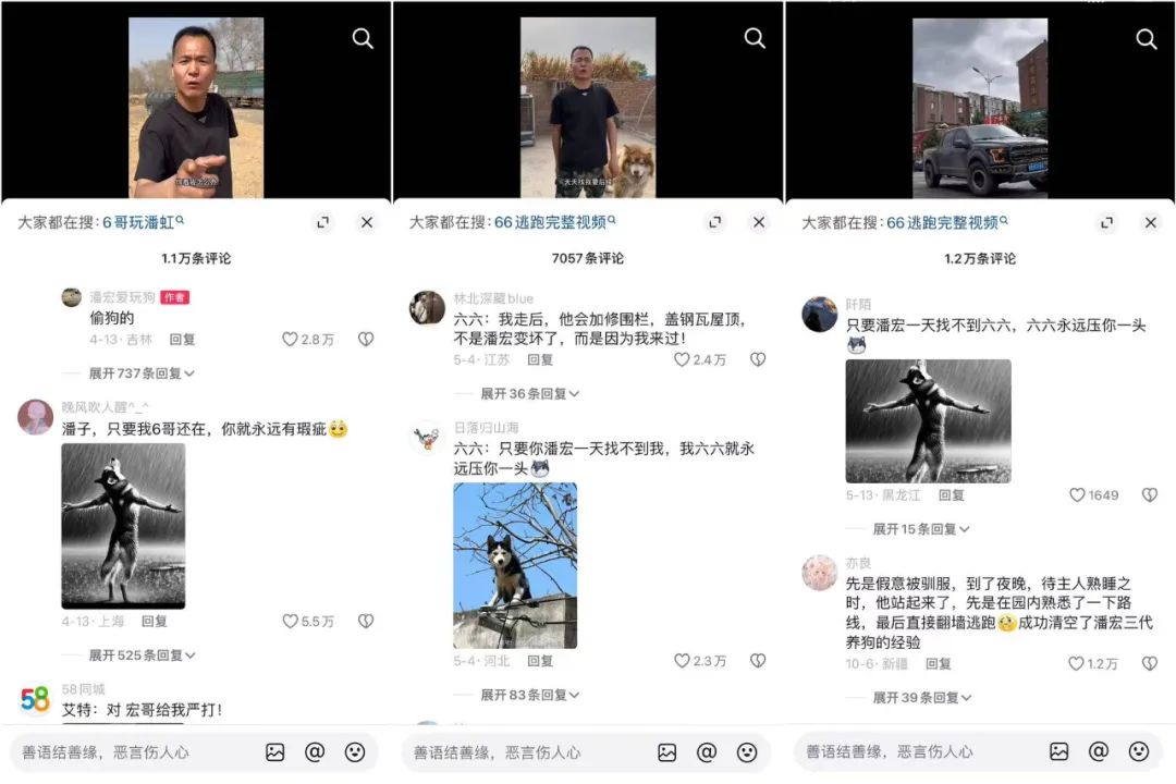咆哮式训狗吸粉1250万,宠物赛道变天了?