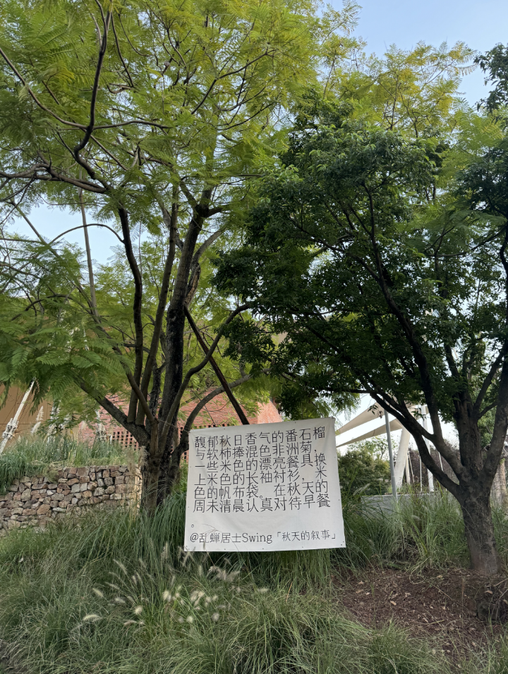 奔赴1500公里拍到的文案,不能只我一个人看