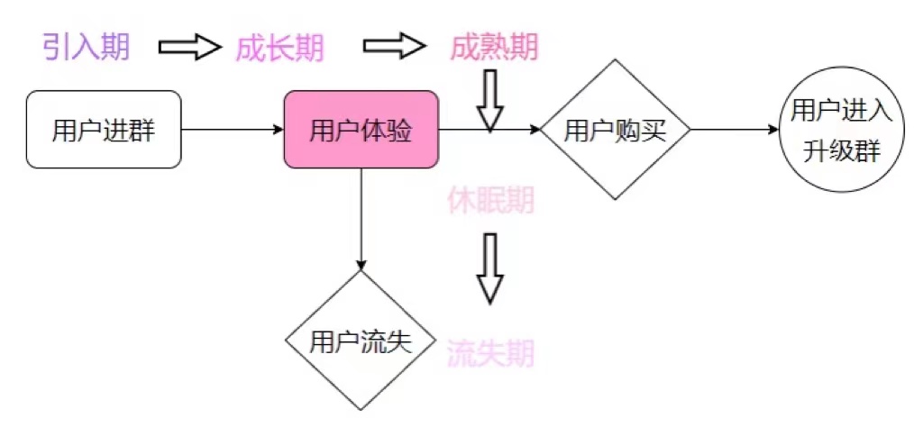 02c715b4ed11befc1b85737fcac5ce2.jpg